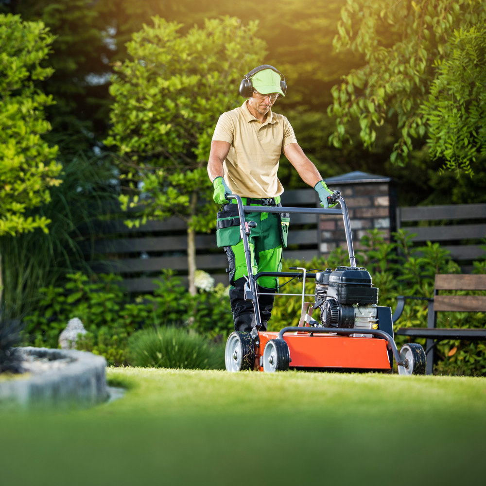 Servicios profesionales de mantenimiento de jardines y áreas verdes / Professional garden and green space maintenance services